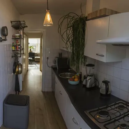 Vibing Urban Jungle Apartment! Appartement Amsterdam